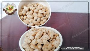 تجارت بادام سفید استان چهار محال و بختیاری