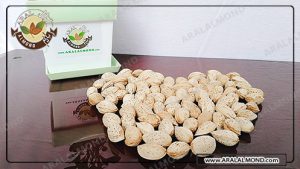 فروش بادام صادراتی کاغذی