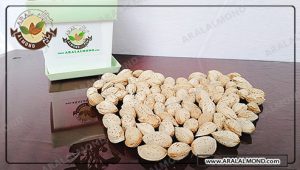 فروش بادام صادراتی کاغذی