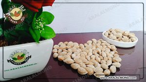 خرید بادام صادراتی کاغذی با قیمت مناسب