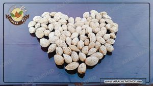 معرفی بهترین بادام برای پخت گز و خواص بادام