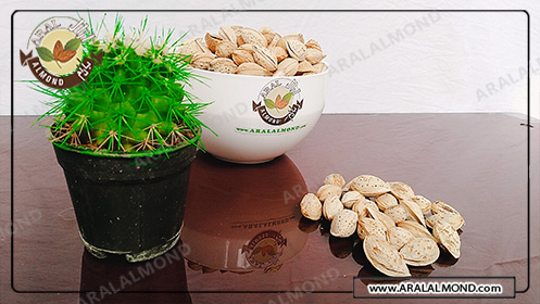 فروشگاه عمده مغز بادام چهار محال و بختیاری