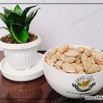مرکز توزیع بادام کاغذی چهار محال و بختیاری