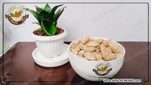 مرکز توزیع بادام کاغذی چهار محال و بختیاری