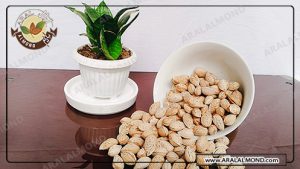 فروش بادام محب شور مرغوب