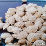 فروشگاه بادام محب صادراتی ارزان قیمت