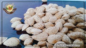 فروشگاه بادام محب صادراتی ارزان قیمت