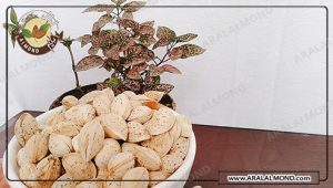 قیمت خرید بادام سفید سامان مرغوب و ارزان