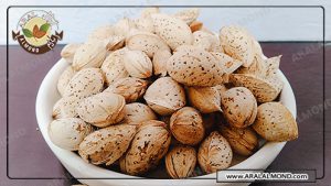 فروش عمده و قیمت مغز بادام شاهرود