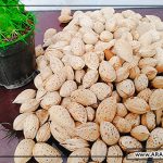 پخش کنندگان بادام به صورت اینترنتی