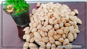  پخش کنندگان بادام به صورت اینترنتی