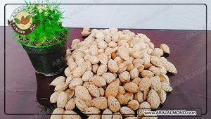 توزیع بادام پوست کاغذی درجه یک مرغوب