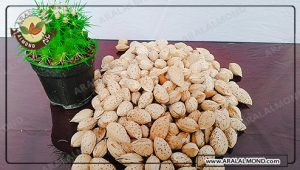توزیع بادام پوست کاغذی درجه یک مرغوب
