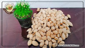 خرید اینترنتی بادام مامایی صادراتی شهرکرد