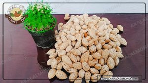 خرید اینترنتی بادام مامایی صادراتی شهرکرد