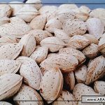 فروش بادام محب با قیمت مناسب در آرال آلموند