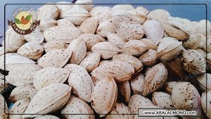 فروش بادام محب با قیمت مناسب در آرال آلموند