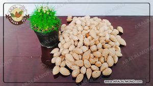 عرضه کننده بادام شیرین سامان