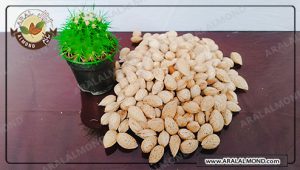 عرضه کننده بادام شیرین سامان