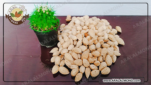 عرضه کننده بادام شیرین سامان