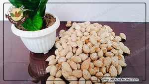 قیمت خرید بادام کاغذی ارزان و خواص بادام