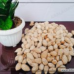 بادام درختی خام چند کالری دارد؟
