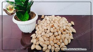 بادام درختی خام چند کالری دارد؟