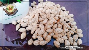 قیمت خرید بادام منقا پوست کاغذی شور 