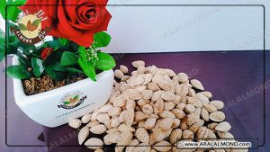 قیمت بادام پوست کاغذی منقا عمده 1401