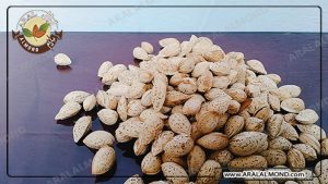 فروشنده بادام پوست کاغذی مغز درشت