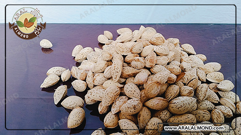 فروشنده بادام پوست کاغذی مغز درشت