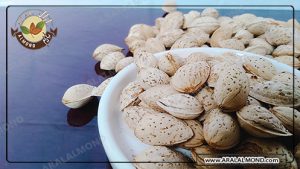 فروش کلی بادام کاغذی ارزان قیمت