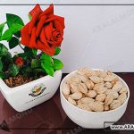 خرید بادام درختی عمده تازه و ارگانیک