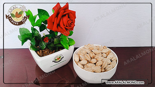 خرید بادام درختی عمده تازه و ارگانیک