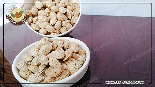 تجارت بادام کاغذی با کیفیت و ارزان