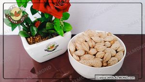 قیمت بادام منقا پوست کاغذی ایرانی 1400