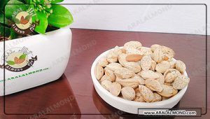 فروشگاه بادام پوست کاغذی آرال آلموند