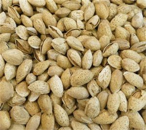 فروشگاه عمده بادام محب ایرانی