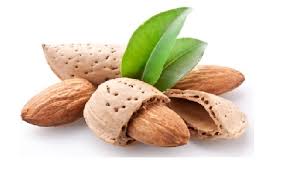 فروشگاه اینترنتی بادام آرال آلموند