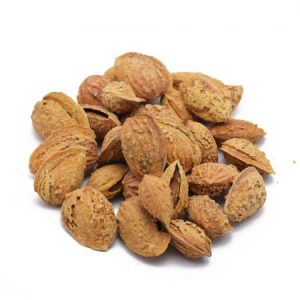 تجارت بادام منقا با قیمت مناسب