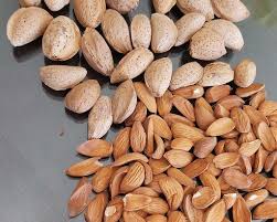 فروشگاه اینترنتی بادام آرال آلموند