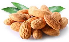 فروشگاه عمده مغز بادام چهار محال و بختیاری