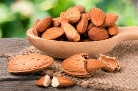 تولید فله ای بادام تلخ برای روغن گیری