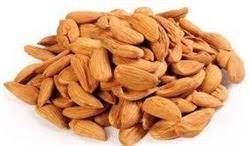 تولید انواع بادام ربیع به صورت اینترنتی