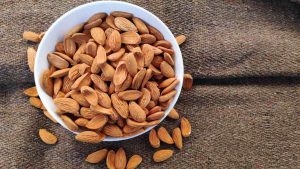 تولید بهترین مغز بادام مامایی سامان