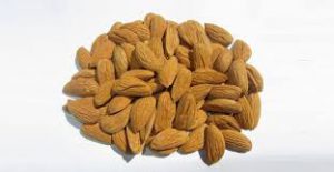 مرکز عرضه بادام مامایی برای صادرات