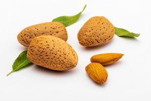 تولید عمده مغز بادام مامایی با کیفیت