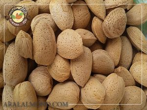 شرکت صادرات بادام سنگی درجه یک