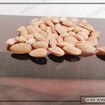فروش بادام درختی با پوست به صورت عمده