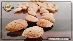 تجارت اینترنتی بادام سنگی